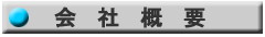 ‰ïŽÐŠT—v